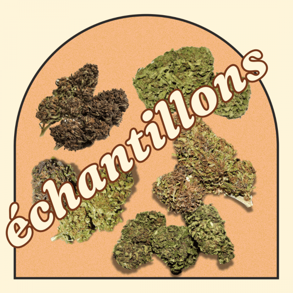 Pack échantillon fleurs
