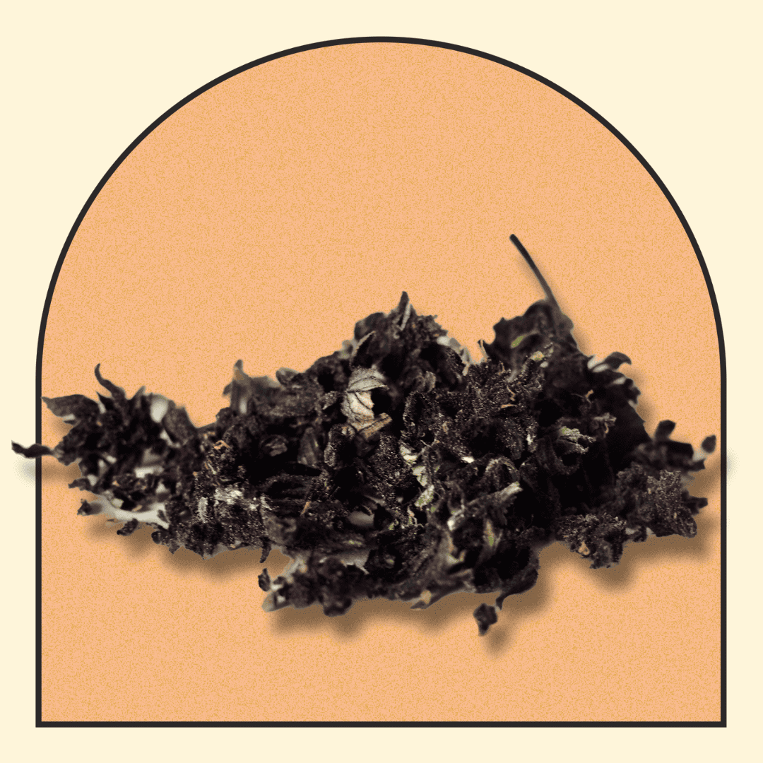 TRIM PREMIUM BLOOD ORANGE