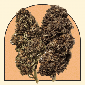 Legendary Platinium OG