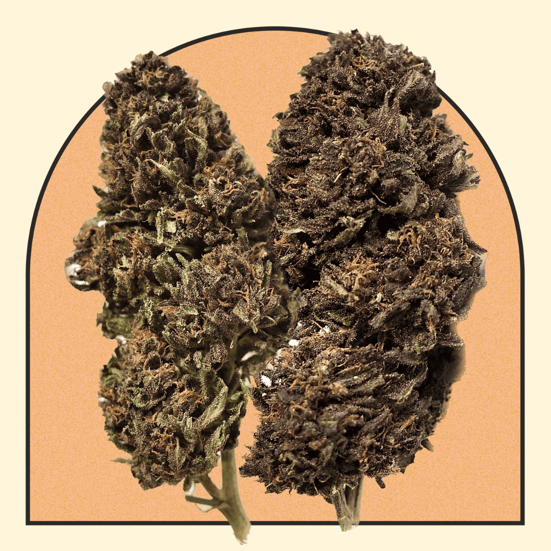 Legendary Platinium OG