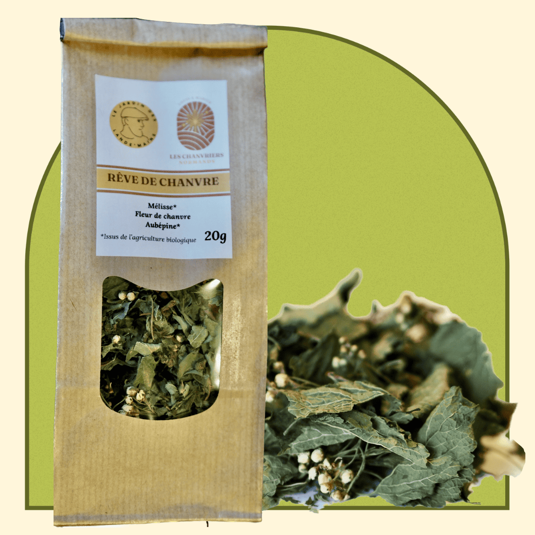 Infusion Rêve de Chanvre