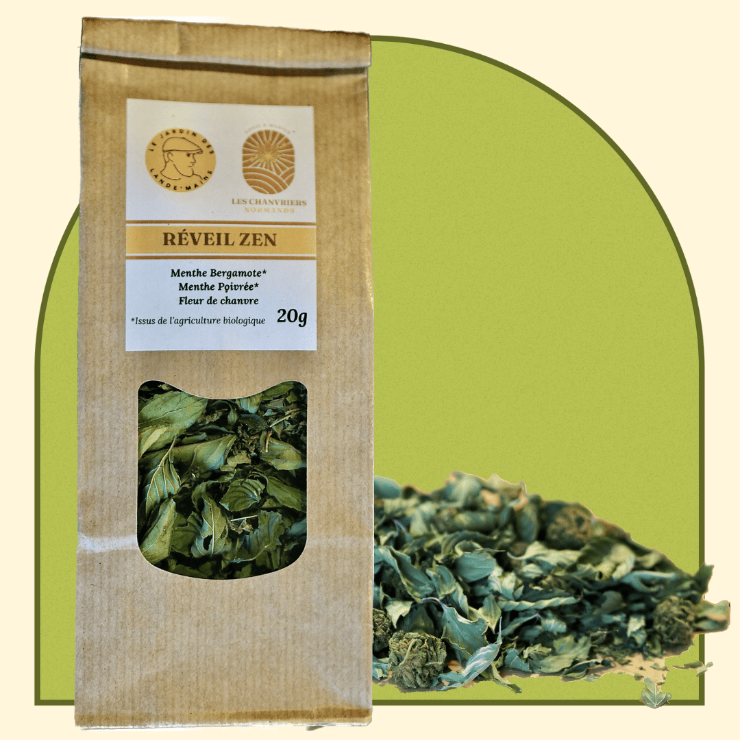 Infusion Réveil Zen