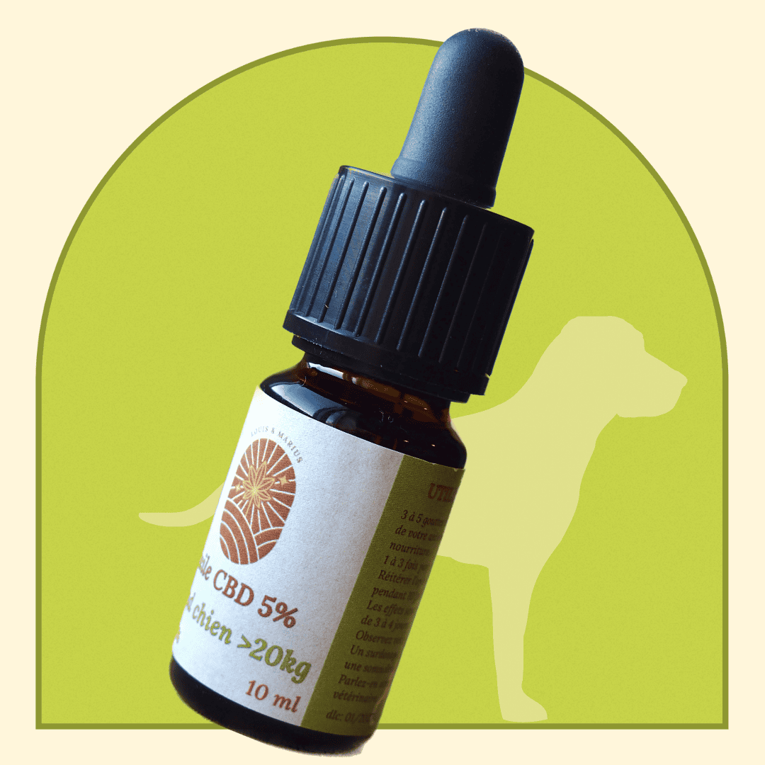 HUILE CBD 5% ANIMAUX