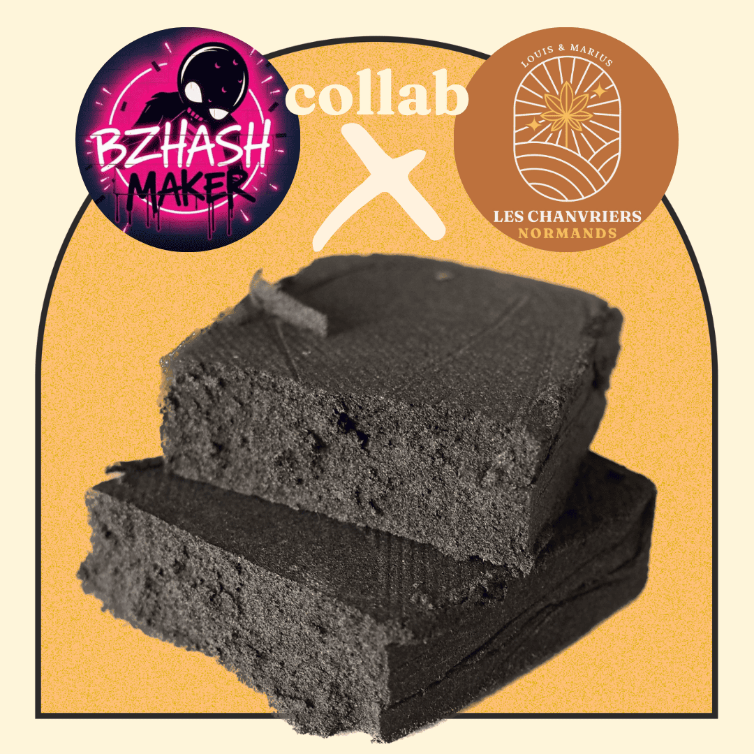 BLOOD ORANGE PURE DRYSIFT - CHANVRIERS NORMANDS X BZHASH MAKER