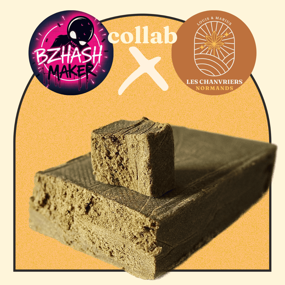 GOLDEN PEACH PURE DRYSIFT - CHANVRIERS NORMANDS X BZHASH MAKER