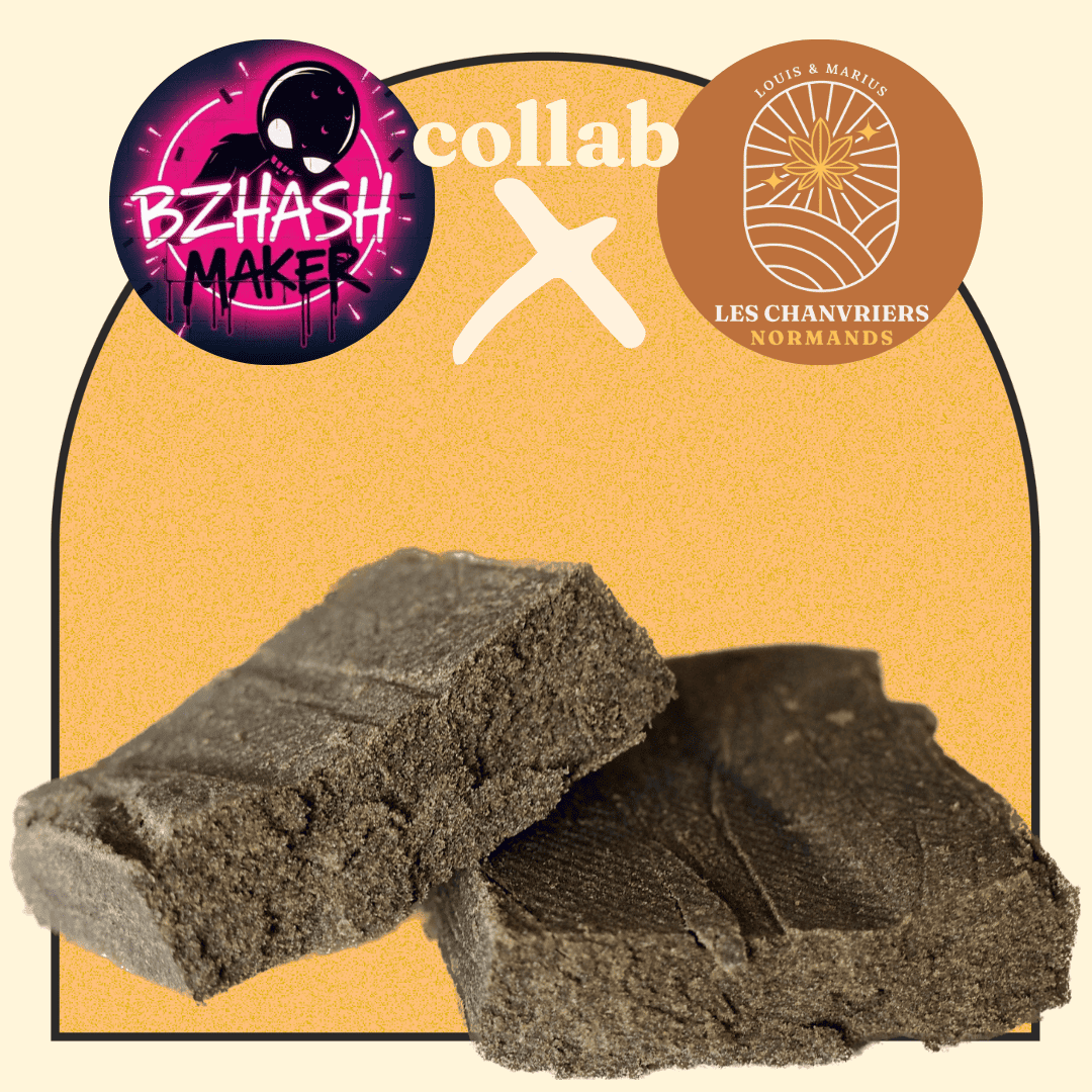 LEGENDARY HASH PURE DRYSIFT - CHANVRIERS NORMANDS X BZHASH MAKER