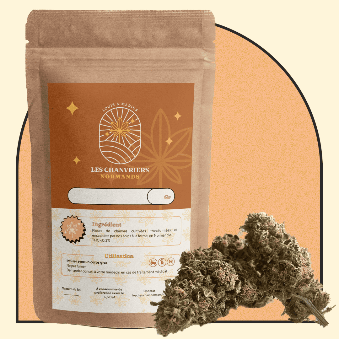 Sour Space Candy - Indoor