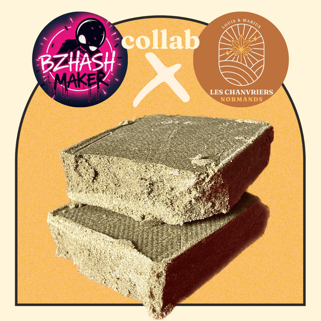 CARAMELO HASH PURE DRYSIFT - CHANVRIERS NORMANDS X BZHASH MAKER