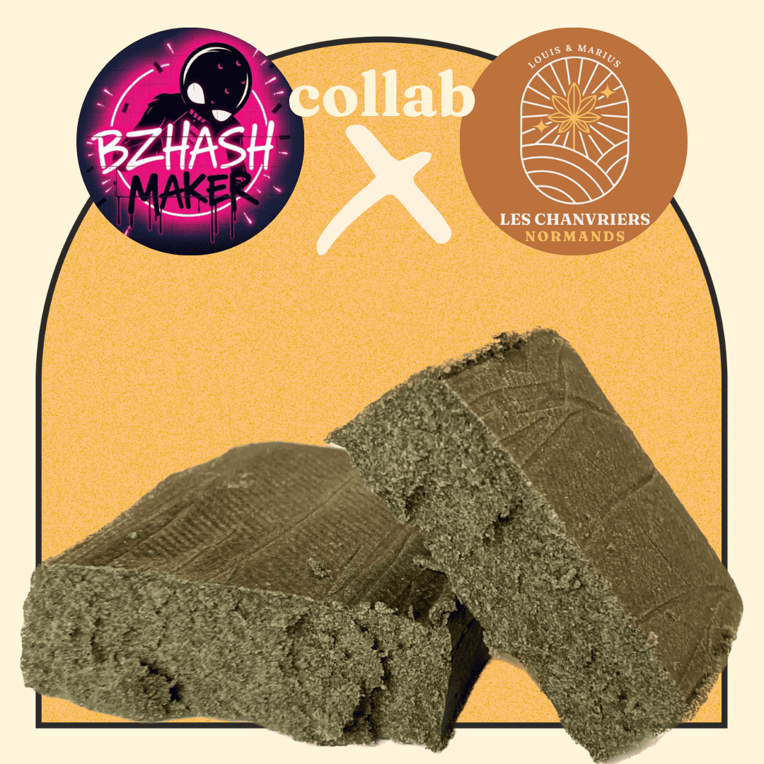 FRUIT CAKE PURE DRYSIFT - CHANVRIERS NORMANDS X BZHASH MAKER