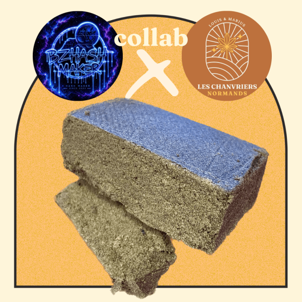 GAS FRITTER PURE DRYSIFT - CHANVRIERS NORMANDS X BZHASH MAKER